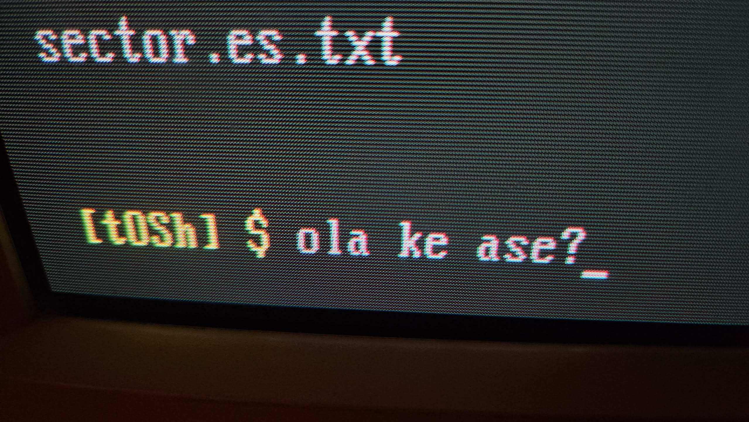 tOSh saludando a cámara